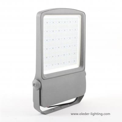 OLEA1  LED Flood Light 