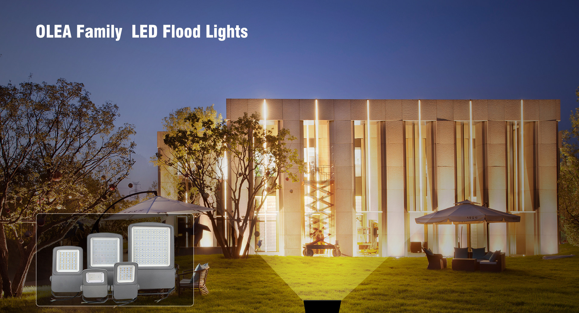 LED Flood Light  OLEA1 family