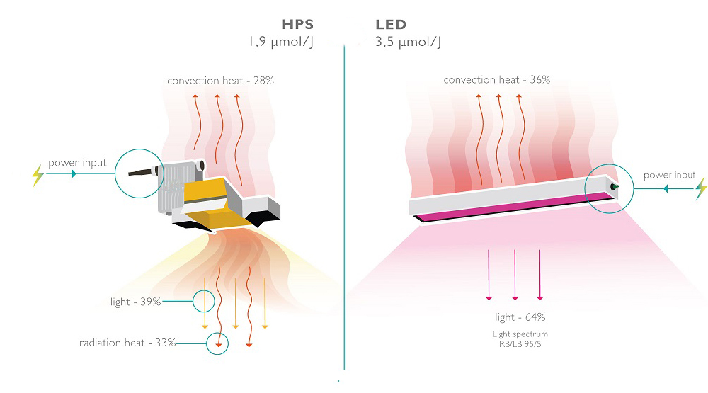 LED-HPS.jpg