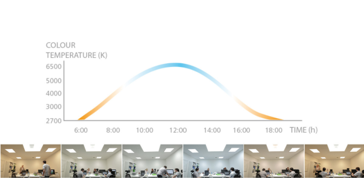 1772510575883704.png human central oleder lighting.png