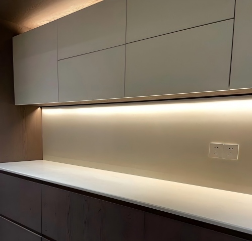 class II cabinet light oleder(1).jpg